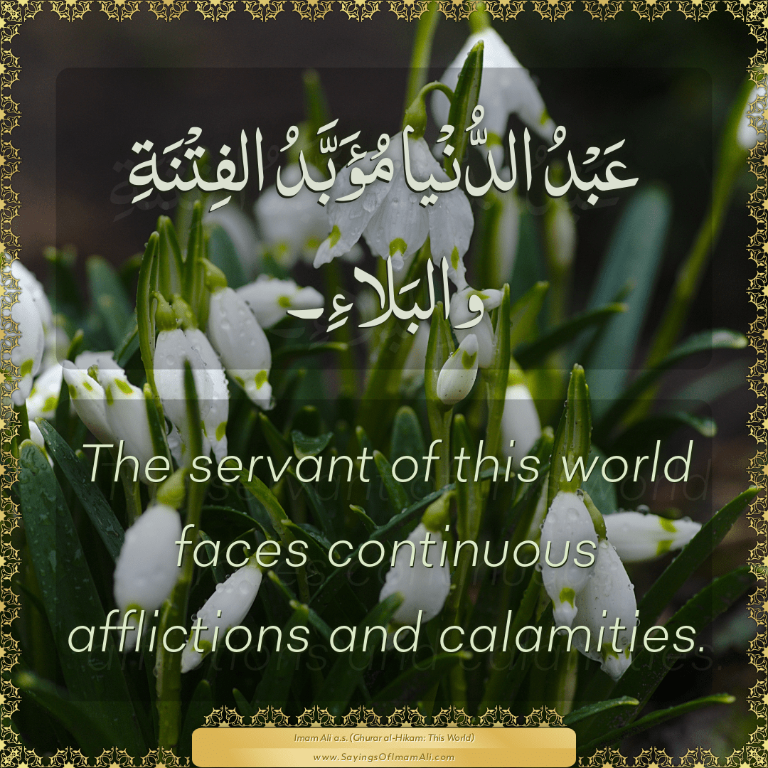 The servant of this world faces continuous afflictions and calamities.